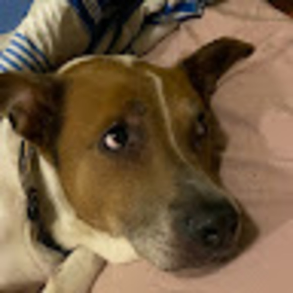 Meet your Posher, Jennifer - Picture 1 of 1